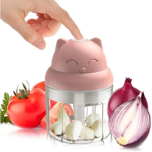 One Blue 30w Electric Food Chopper & Garlic Masher & Vegetable Cutter, Usb  Rechargeable Kitchen Appliance, 100ml