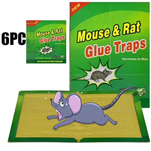 6Pcs Premium Reusable Mouse Traps Rodent Snap Trap Rat Trap Mouse Busters
