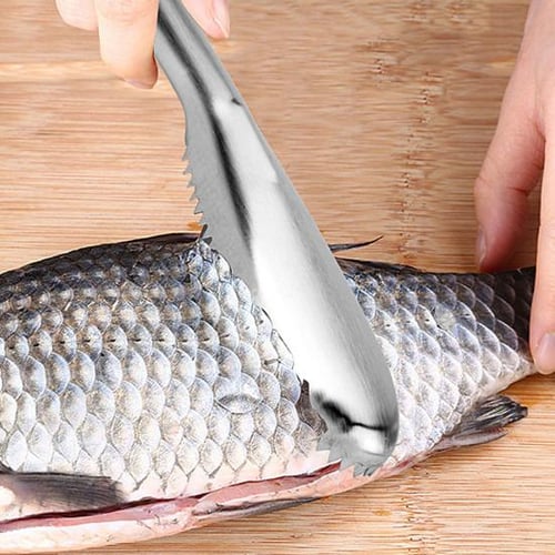 Cheap 1PC Fish Skin Brush Fast Remove Fish Scale Scraper Planer Tool Fish  Scaler Fishing Knife Cleaning Tools