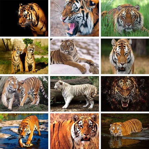 5D Diy Diamond Painting Animals Tiger Cross Stitch Set Full