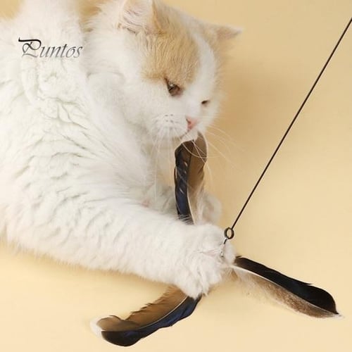 Cat Funny Stick Toy Set Interactive Cat Feather Toys for Indoor Cats Kitten  Kitty Teaser Wand Scratch Toy Cat Catcher Exerciser Gift for Cat Friends -  sotib olish Cat Funny Stick Toy