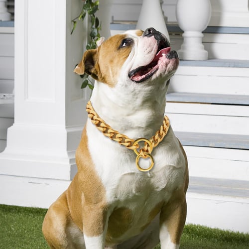 Gold Dog Collar Chain With Steel Buckle Width, Stainless Steel Cuban Link  Slip Chain Training Collar Necklace-f