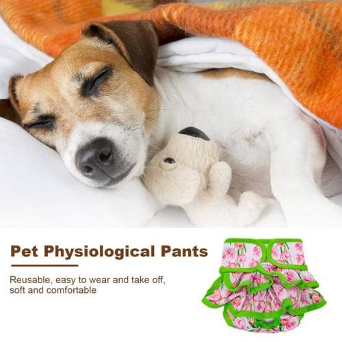 Pets Physiological Washable Menstruation Briefs Dog Leak Proof