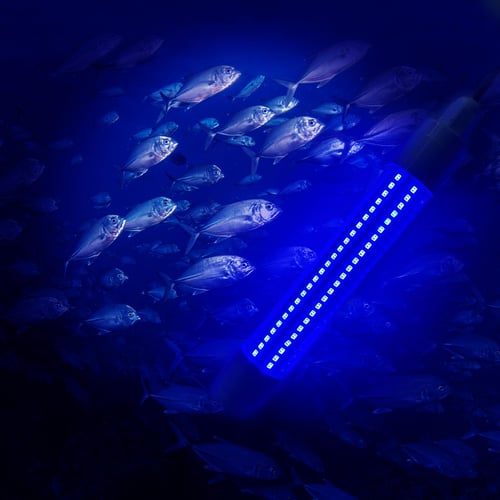 Outdoor Led Fishing Light Underwater Fish Finder Lamp Ac/dc12v/24v  Waterproof Fish Lure Light with 5m Power Cord 