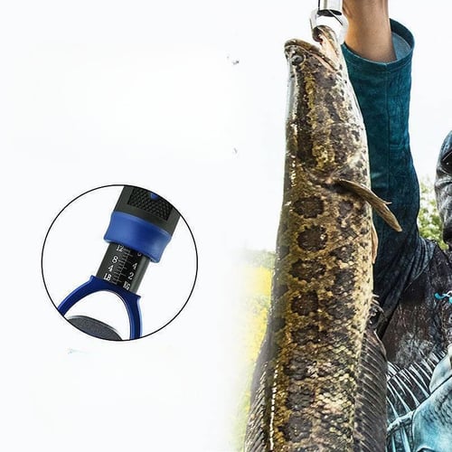 Fish Control Device With Weighmulti-Functional Aluminum Alloy Fish Taking Device  Device Fish Clamp Device Catch Fish Weighing Device Fishing Gear - sotib  olish Fish Control Device With Weighmulti-Functional Aluminum Alloy Fish  Taking