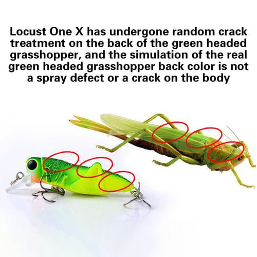 Fishing Hook Sharp Strong Penetration Colorful 12.6g Bionic Cicada  Artificial Minnow Soft Bait for Fishing Lovers