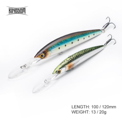 Kingdom Sea Fishing Lures Jerkbaits Minnow Saltwater 120mm/23g 130mm/30g  Floating Artificial Bait Good Action Wobblers Hard Lure