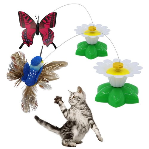Cat Toy Simulation Rotary Electric Toy Butterfly Funny Cat Stick  Automatically Tease The Cat Hummingbird Toy Pet Supplies - sotib olish Cat  Toy Simulation Rotary Electric Toy Butterfly Funny Cat Stick Automatically