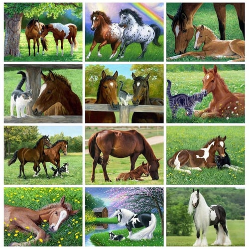 Cheap Diamond Art Painting Animal Cat Pictures Of Rhinestones Diamond  Embroidery Sale Horse Full Mosaic Decor For Home