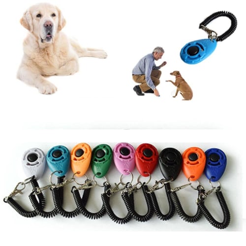 1pc Light Blue Plastic Pet Training Clicker With Wristband, Sound Keychain  Dog Whistle, Large Button Pet Behavior Training Device