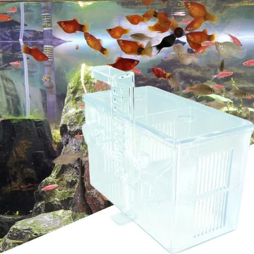 Fish Watching Box Fishing Photo Tank Acrylic Hatchery Incubator