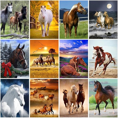 5D DIY Diamond Painting Horse Rhinestone Picture All Square/Round Animal  Diamond Embroidery Mosaic Beaded Home Decoration Gift - AliExpress