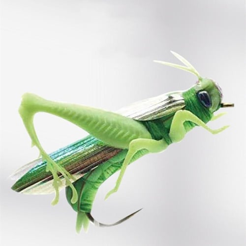 Bionic Grasshopper For Fishing Minnow Insect Lure Wobbler Grasshopper Hard  Bait Freshwater Fishing Lure - sotib olish Bionic Grasshopper For Fishing  Minnow Insect Lure Wobbler Grasshopper Hard Bait Freshwater Fishing Lure  Toshkentda