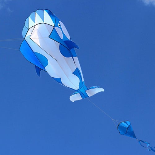 Projector)Kite Dolphin Beach Kites with Huge Frameless Soft Gift for Kids  Family 3D - buy (Projector)Kite Dolphin Beach Kites with Huge Frameless  Soft Gift for Kids Family 3D: prices, reviews