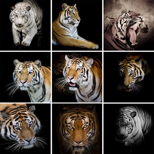 5D Diy Diamond Painting Animals Tiger Cross Stitch Set Full