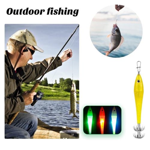 Fdit 4Pcs Deep Drop Fishing LED Lure Light Waterproof Bait Light