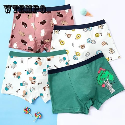 3 PCS Kids Boys Underwear Cartoon Dinosaur Children Shorts Panties