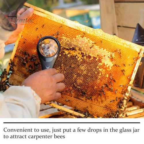 30ML Bee Bait Natural And Safe Ingredients Gentle Convenient Bee