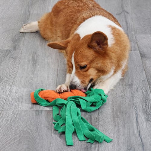 Food Dispensing Dog Toy Dog Chewing Toy Puppy Carrot Shape Biting