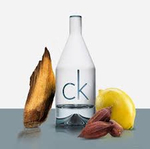2u calvin klein cheap