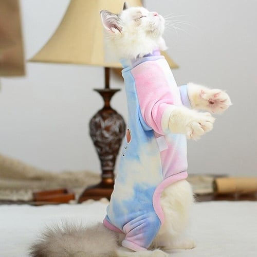 Свитера и футболки для кошек купить в интернет-магазине недорого, цена с доставкой в Москве