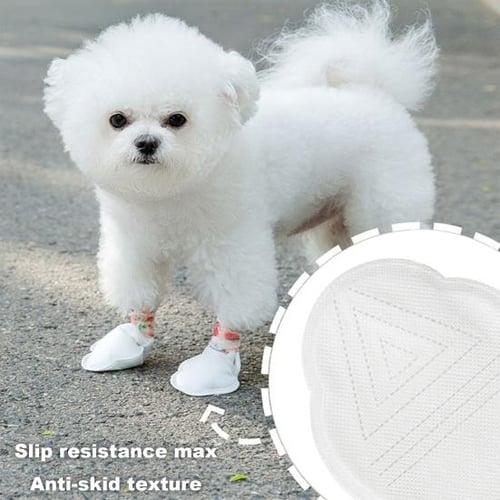 Slip on dog walking shoes hotsell