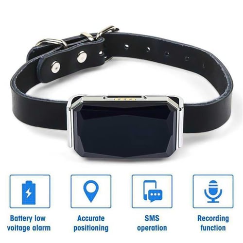 Gps belt for dogs cheap