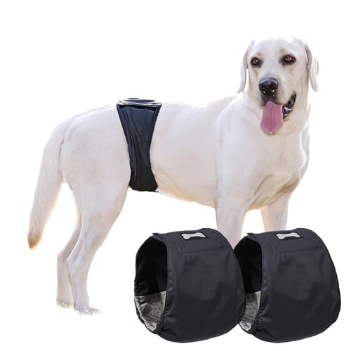 Dog belly discount band walmart