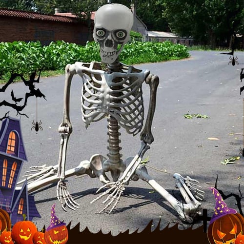 Halloween skeleton cheap life size