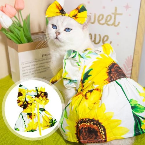 Sunflower dog dress cheap