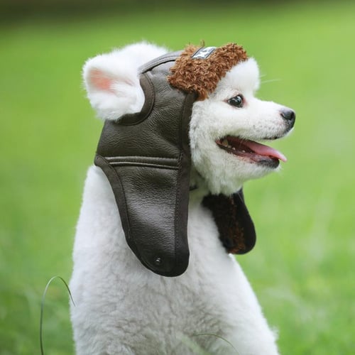 Funny dog hats best sale