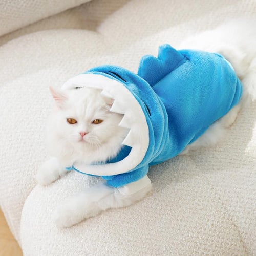 Buy best sale cat clothes