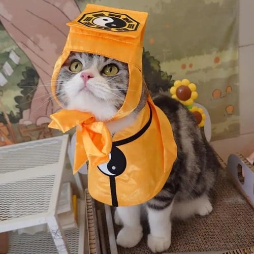 Funny cat outfits best sale