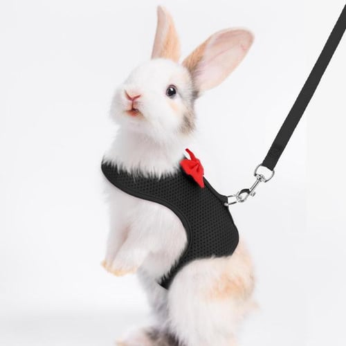 Rabbit vest harness online