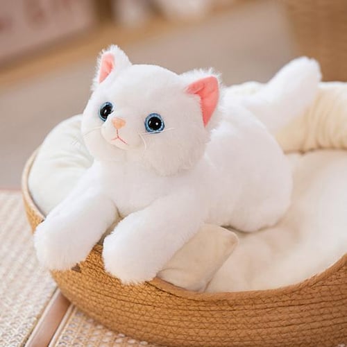 Doll kitten top