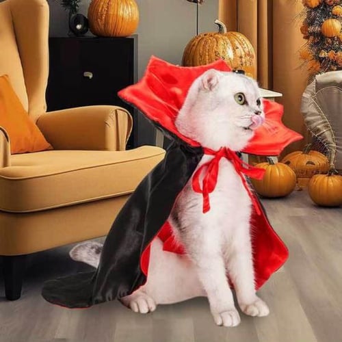 Funny cat dress store