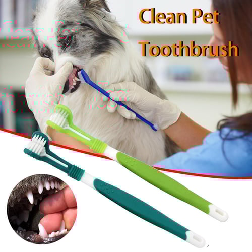 Dog store toothbrush reviews