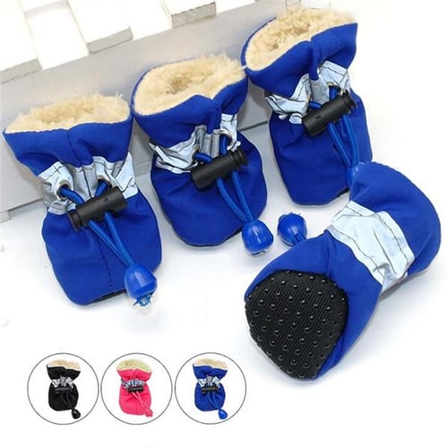 Pet supplies hotsell plus dog boots