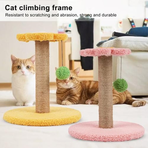 Kitten climbing frame sale