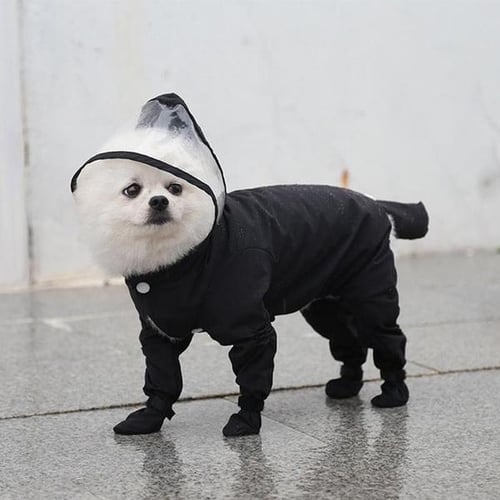 Yorkie rain boots hotsell