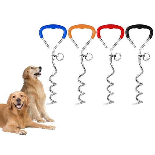 Dog tie out stake deals for large dogs