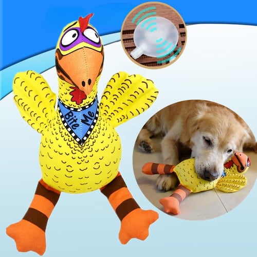 Suspicious chicken dog toy store