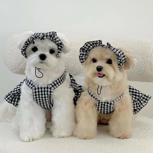 Puppy summer clothes shop