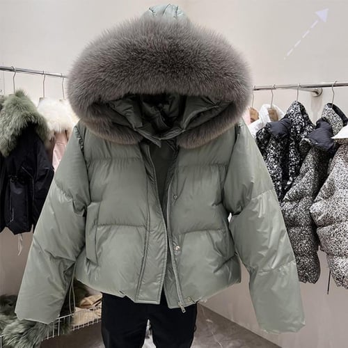 Fox winter jacket best sale