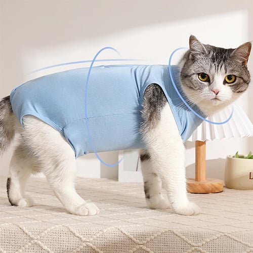 Female cat accessories outlet
