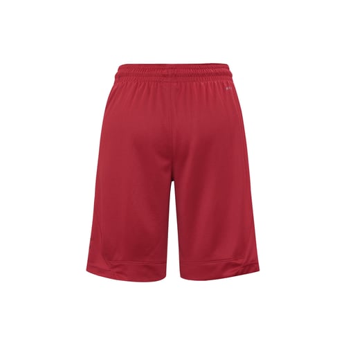 Jordan authentic triangle shorts online