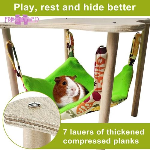 Guinea pig swing best sale