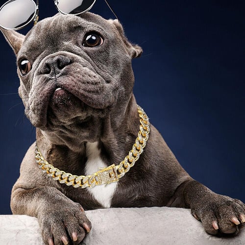 Cuban link pet collar shop