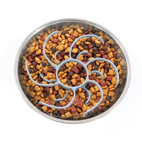 Dog food divider bowl cheap