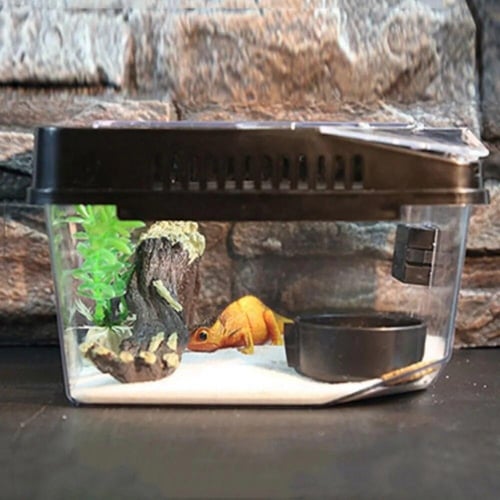 Lizard carrier clearance
